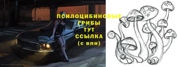 соль ск Алзамай