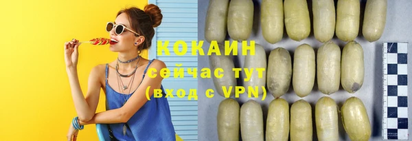 соль ск Алзамай